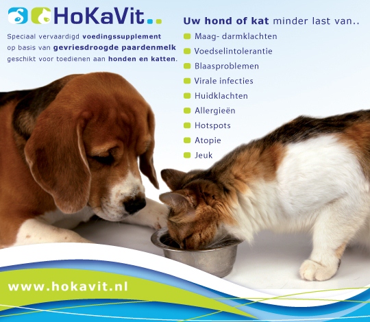 Paardenmelk voor hond en kat - atopie - huidklachten - jeuk - hotspots - allergie