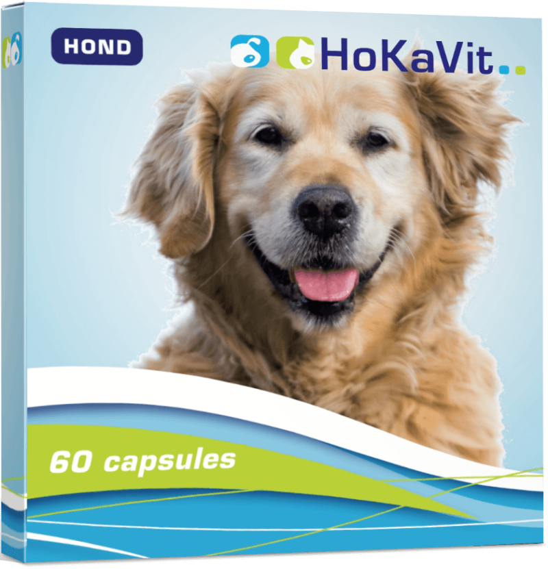 paardenmelk capsules pillen hond puppy atopie hotspot allergie jeuk huidklachten vermoeidheid