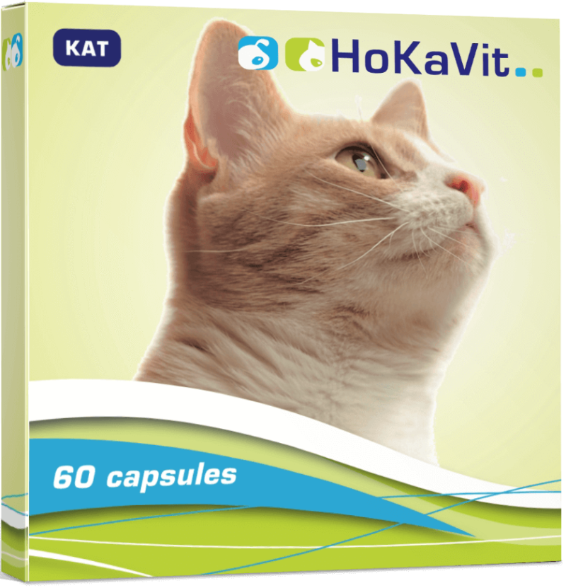 paardenmelk capsules pillen kat kitten atopie hotspot allergie jeuk huidklachten vermoeidheid